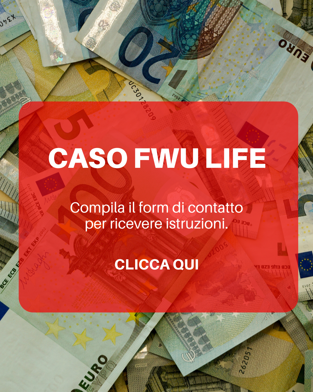 Copia di caso FWU Life